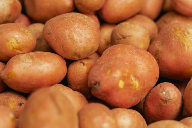 Küçük şehir pazarında taze patates. Organik ürünler açık pazarda satılıyor. Taze ekin ve sebze hasadı satıyorum. Avrupa şehir merkezi. Kapatın. Dizinin bir parçası.