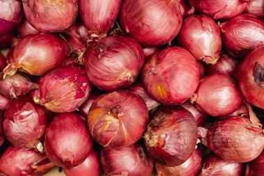 Küçük şehir pazarında taze sebzeler. Organik ürünler açık pazarda satılıyor. Taze ekin ve sebze hasadı satıyorum. Avrupa şehir merkezi. Kapatın. Dizinin bir parçası.