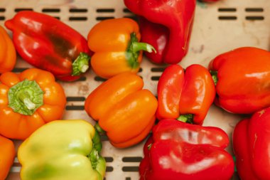 Küçük şehir pazarında taze biber. Organik ürünler açık pazarda satılıyor. Taze ekin ve sebze hasadı satıyorum. Avrupa şehir merkezi. Kapatın. Dizinin bir parçası.