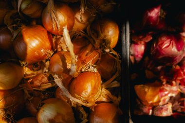 Küçük bir markette plastik kutularda taze soğan. Organik ürünler açık pazarda satılıyor. Taze ekin ve sebze hasadı satıyorum. Dizinin bir parçası.