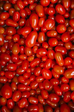 Küçük yerel bir markette taze domates. Organik ürünler açık pazarda satılıyor. Taze ekin ve sebze hasadı satıyorum. Avrupa şehir merkezi. Kapatın. Dizinin bir parçası.