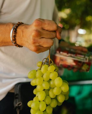 Yerel çiftçi pazarında plastik kutuda üzüm ve böğürtlen ile yakın plan. Farmers Market Stall 'dan alışveriş. Kapatın. Dizinin bir parçası.