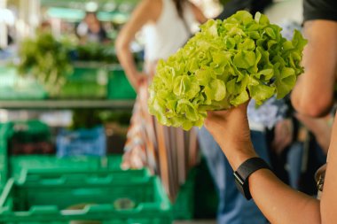 Çiftçi pazarında yeşil bir marulla el ele tutuşun. Olgun Kadın Müşteri Dükkanı 'ndan alışveriş yapıyor. Sebze alan kadın. Kapatın. Dizinin bir parçası