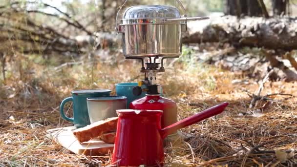 Güneşli Ormanda Piknikte Yanan Kamp Sobası Fincanlar — Stok video