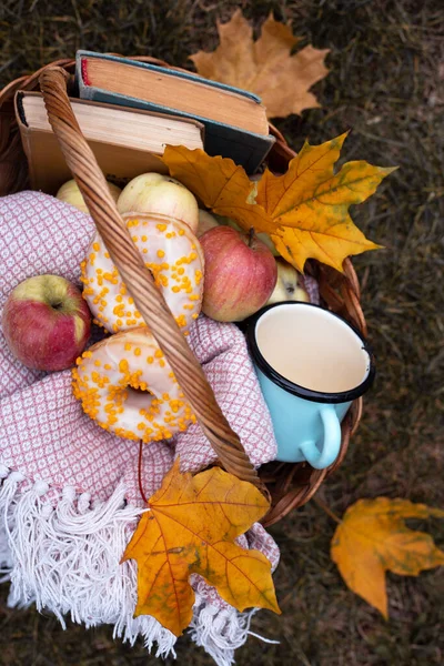 Bir Piknik Sepeti Ekoseli Sepet Elma Çörek Kitap Şehir Sonbahar — Stok fotoğraf