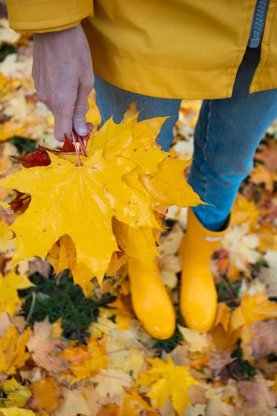 灿烂的秋天穿着黄色橡胶靴的女孩拿着一束枫叶走着 — 图库照片