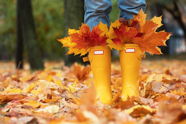 Strahlender Herbst Mädchen Gelben Gummistiefeln Mit Einem Strauß Ahornblättern — Stockfoto