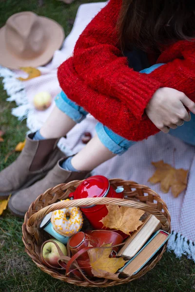 Дівчина Кошик Пікніка Плоским Яблуком Пончиками Книгою Міська Осіння Атестація — стокове фото