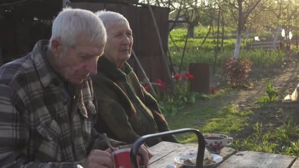 Para Seniorów Siedząca Zewnątrz Ogrodzie Wiejskiego Domu Jedząca Ciasto Dość — Wideo stockowe