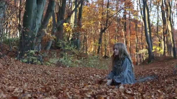 Roztomilé Teen Dívka Hraje Červenými Listy Slunečném Podzimním Lese — Stock video