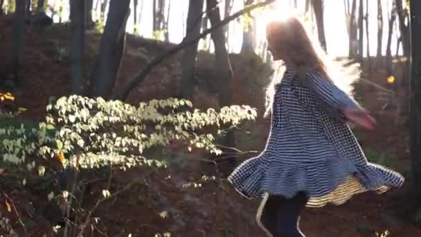 可爱的少女在明媚的晚秋森林里与红叶玩耍 — 图库视频影像