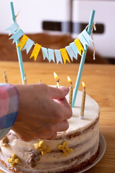 Hundegeburtstag Kuchen Mit Kerzen Und Knochen Dekoriert — Stockfoto