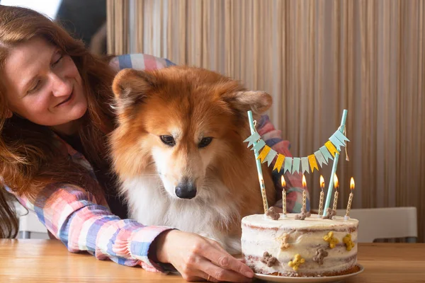happy birthday - girl and corgi dog near cake with candle