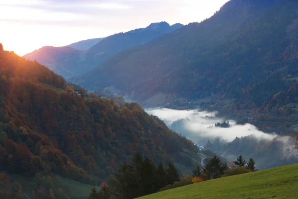Piękny Widok Dolinę Mgłą Jesienny Krajobraz Austriackiej Górze — Zdjęcie stockowe