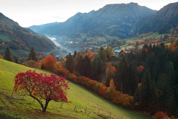 雾气弥漫的山谷美景 奥地利山上的秋天风景 — 图库照片