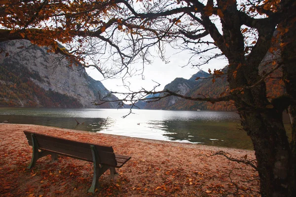 风景秀丽的山地湖泊和长椅的前景 澳大利亚A — 图库照片