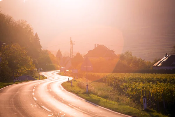Bergstraße Straße Durch Die Weinberge Bei Sonnenuntergang Wachau — Stockfoto