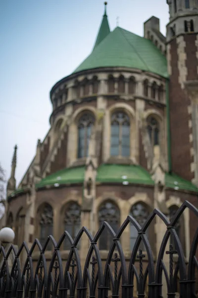 Kyrkan Olga Och Elizaveta Lviv Ukrain — Stockfoto