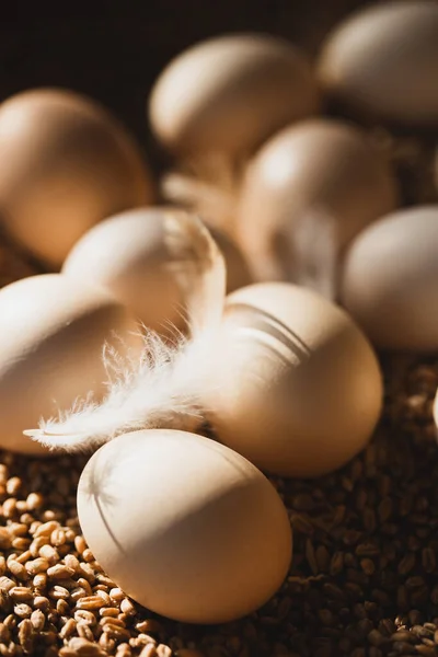 Eggs Lie Wheat Rural Backgroun — Stock Photo, Image