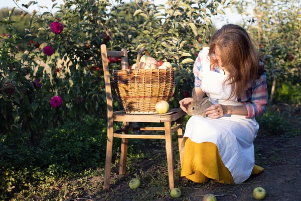 happy girl in the garden holds a rabbit in her arms and a basket of apples nearby. aesthetics of rural lif