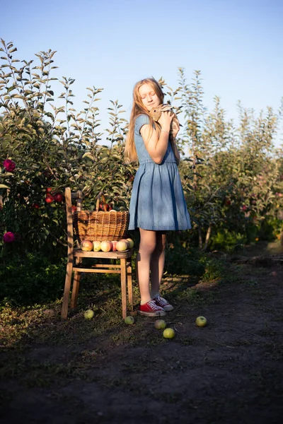 ウサギとりんごの入った庭の幸せな女の子 農村部の美意識は — ストック写真