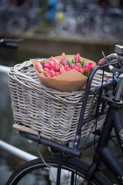 Bouquet Belles Tulipes Roses Dans Panier Vélo Amsterdam Voyage Printemps — Photo