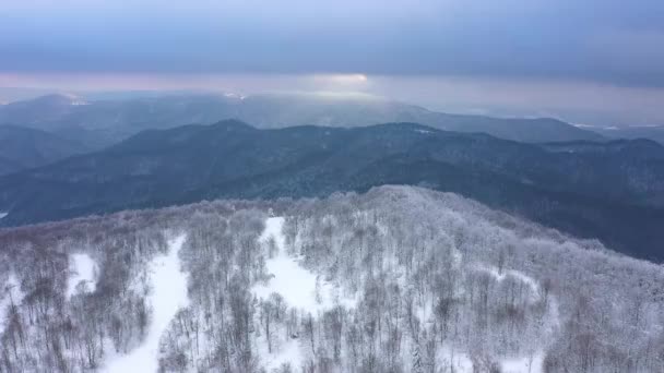 Повітряний Безпілотник Вид Ліс Високо Горах Пагорб Взимку Сніговим Покриттям — стокове відео