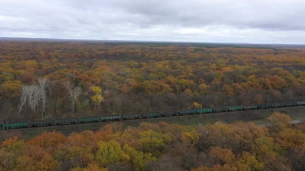 Vista Aérea Trem Carga Carga Que Move Através Floresta Outono — Vídeo de Stock