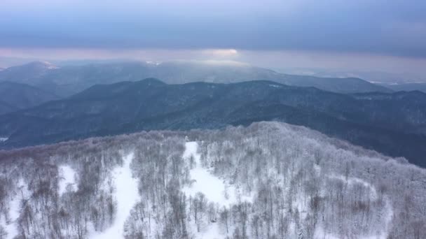 Luchtfoto Drone Uitzicht Het Bos Hoog Bergen Heuvel Winter Met — Stockvideo