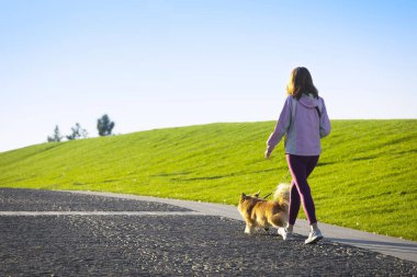 girl with corgi dog for a walk in the par clipart