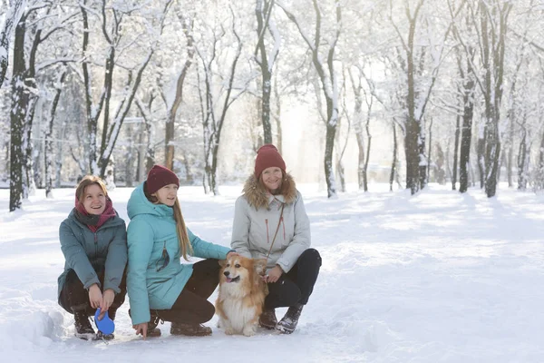 happy family - mom, daughters and corgi dog in winter par