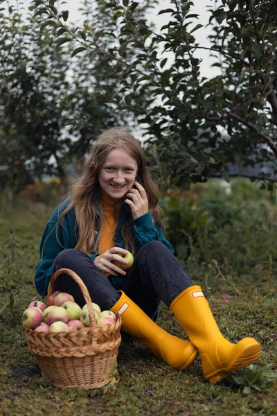 apple harvest and rural aesthetic. a basket of apples and a girls hand with an appl
