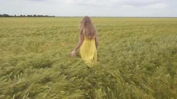 Gyermek Lány Sétál Búzamezőn Megérinti Búza Füle — Stock videók