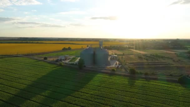 ひまわり畑の現代の穀物サイロエレベーター空撮 — ストック動画