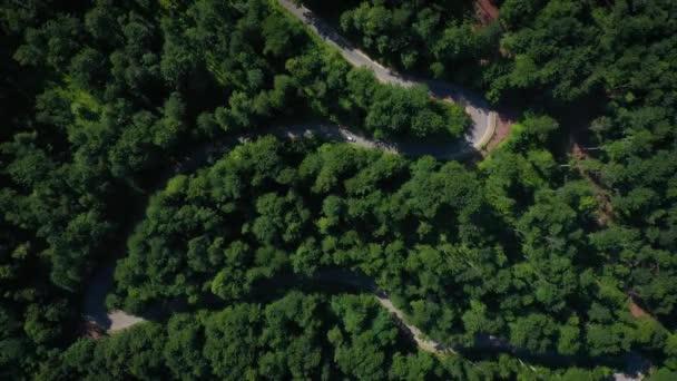 Повітряний Вид Знамениту Романську Гірську Дорогу Трансальпіна Сонячний Літній День — стокове відео