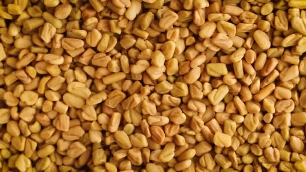Top View Close Fenugreek Seeds Rotating Background — Video