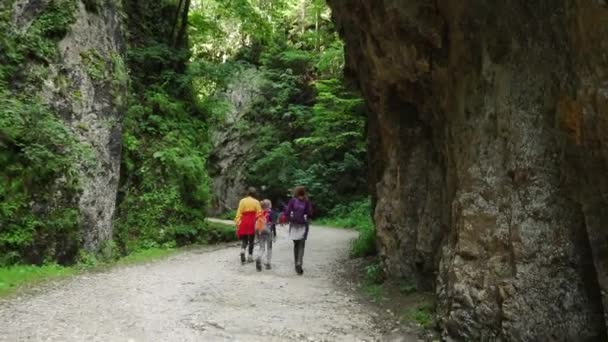 Caminhadas Família Ativas Pelo Desfiladeiro Prapastiile Zarnestiului Parque Nacional Piatra — Vídeo de Stock
