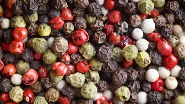 Top View Close Black Red Green White Allspice Mix Peppercorn — Stockvideo
