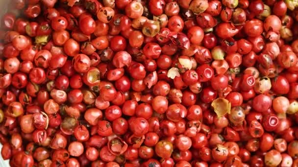 Top View Close Red Peppercorn Rotating Background — Stock Video