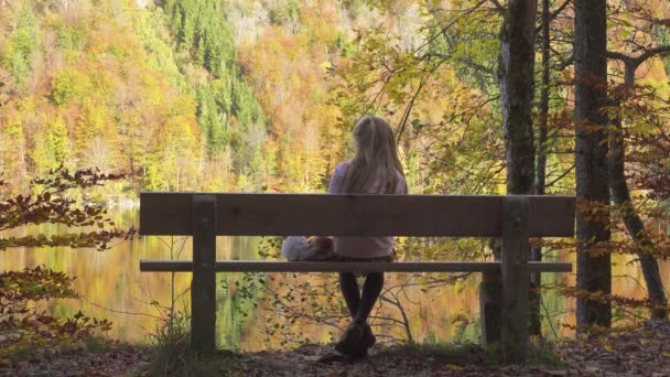 Enfant Fille Assis Sur Banc Parc Automne Près Lac Autriche — Video