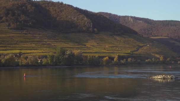 Avusturya Nın Wachau Vadisi Ndeki Tuna Nehri Kıyısındaki Duernstein Kasabasının — Stok video