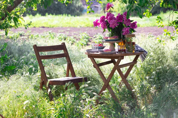 Garten Und Teeparty Landhausstil Stillleben Tassen Geschirr Und Eine Vase — Stockfoto
