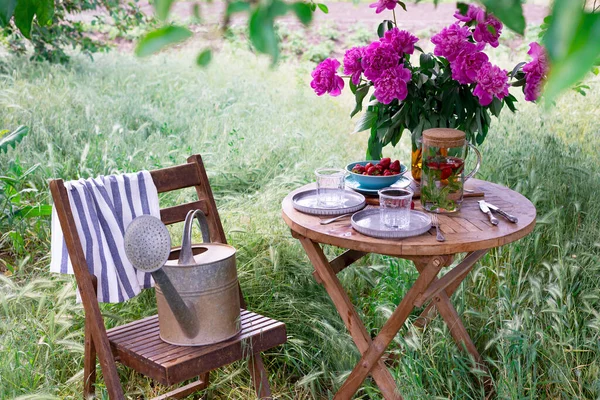 Garden Tea Party Country Style Still Life Cups Dishes Vase — Fotografia de Stock
