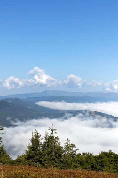 Prachtig Berglandschap Het Karpaten — Stockfoto