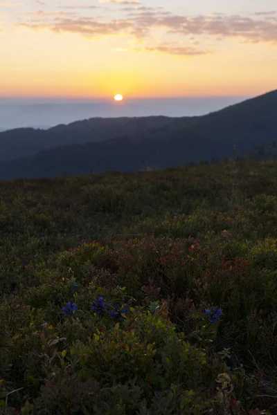Prachtig Berglandschap Bij Dageraad Het Karpaten — Stockfoto