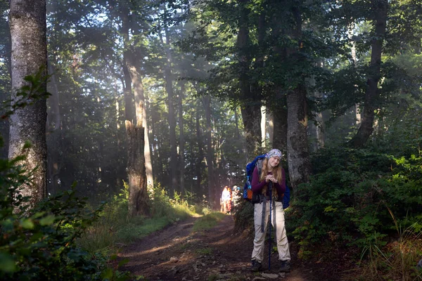 Wanderin Mit Rucksack Auf Pfad Wald — Stockfoto