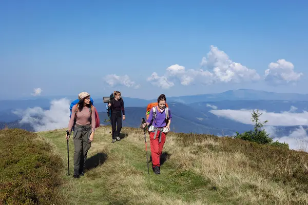 Groep Gelukkige Meisjes Toeristen Een Achtergrond Bergen Prachtig Landschap Stockfoto