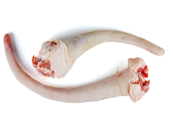 Beyaz Arkaplanda Çiğ Domuz Kuyruğu Izole Edilmiş — Stok fotoğraf