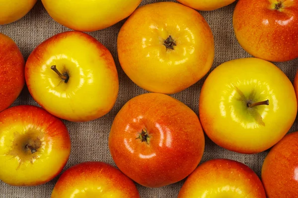 Yellow Red Apples Background — Stock Photo, Image