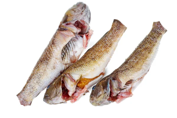 Three Fresh Ready Cook Goby Fishes Isolated White Background — Stock Photo, Image